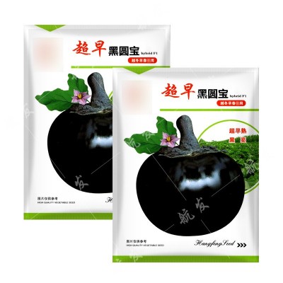 圆茄种子孑丰产紫黑色特大圆茄蔬菜种子春秋易种抗病好种苗茄种籽图5