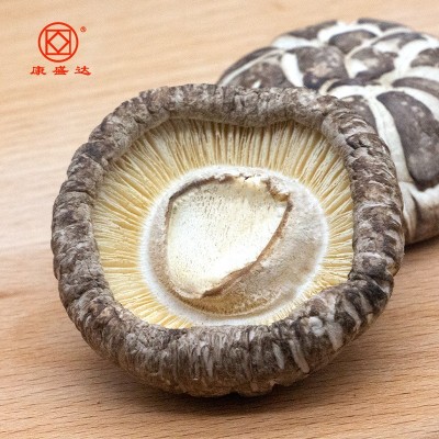 康旺 古田花菇椴木花菇白香菇蘑菇干货散装500g 源头厂家直销批发图2
