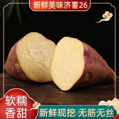 红薯批发香甜可口济薯26沙地红薯自种商用红薯基地新鲜现挖蜜薯图3