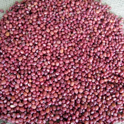 红豆大量批发 原料豆类粗粮 五谷杂粮 婴幼儿伤员病号改善伙食图3