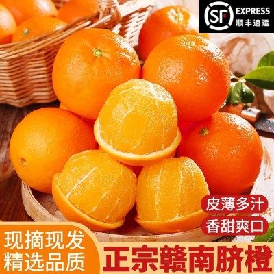顺丰礼盒江西赣南脐橙橙子10斤新鲜水果当季整箱赣州产地直发挤橙