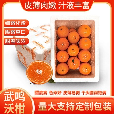 广西武鸣沃柑10斤泡沫箱装应季橘子新鲜水果薄皮桔子沃柑批发ab混