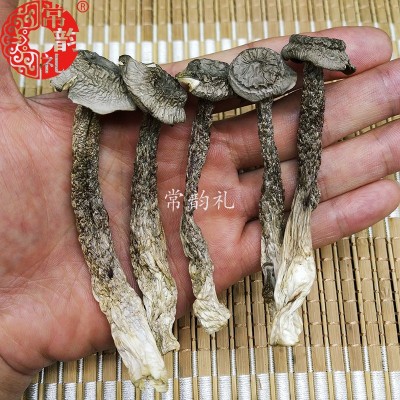 特级鹿茸菇干货粗壮条切根福建厂家直销大量供应批发250克图2