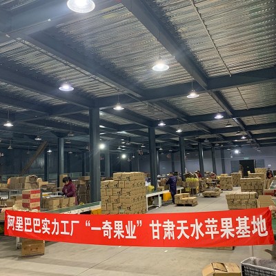 现货甘肃天水花牛苹果 代发3/5斤精品当季新鲜水果宝宝辅 食苹果图3