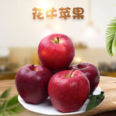 现货甘肃天水花牛苹果 代发3/5斤精品当季新鲜水果宝宝辅 食苹果