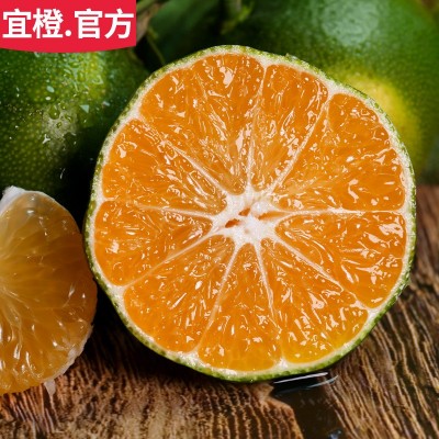无籽桔子 3斤5斤9斤 皮薄酸甜多汁湖北蜜桔橘子 当季现摘新鲜水果