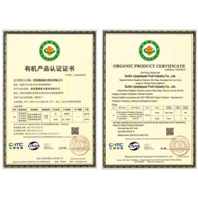 广西荔浦砂糖橘应季新鲜现摘水薄皮超甜桔子 砂糖橘批发图4