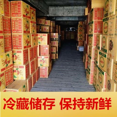 新桂圆干16A大桂圆散装5斤10斤整件龙眼干肉厚新鲜结婚零食亚马逊图3