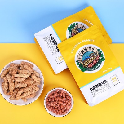 云南七彩花生 熟花生带壳原味炒货花生零食小吃 七彩野地花生210g图2