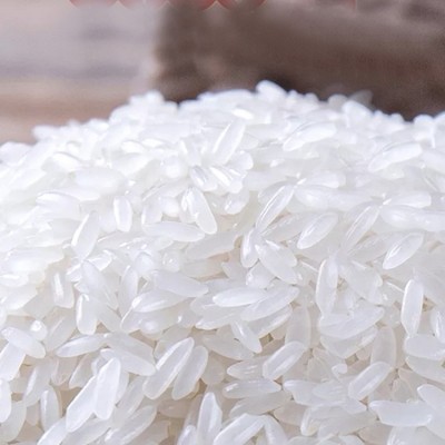 厂家批发五常稻花香米23年东北大米当季新米20斤真空包装五常大米