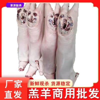 草原排酸大羊 羊白条冷藏冷冻 整只全羊退毛羊 带皮羊白条批发