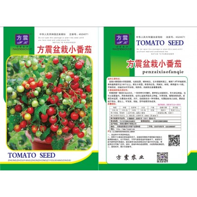 盆栽红色小番茄樱桃小番茄种籽农田菜园阳台盆栽早熟西红柿种子特图2