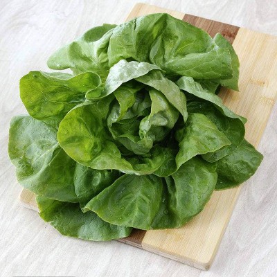 奶油生菜种子 家庭菜园四季播种 易种蔬菜 阳台盆栽种植菜籽图3
