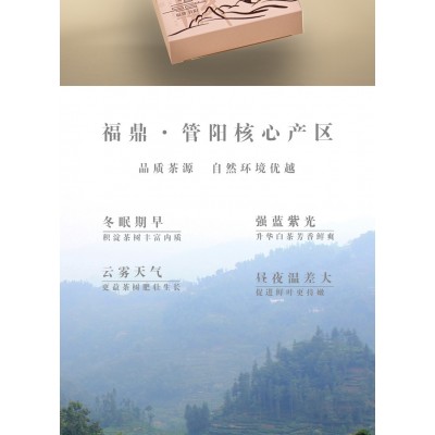 福鼎白茶陈年老白茶枣香寿眉贡眉白牡丹茶叶批发2022年荒野银针图3