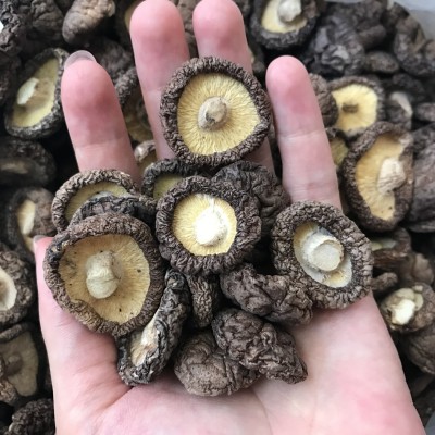 批发 小香菇古田蘑菇优质冬菇干菇水菇肉厚煲汤食材火锅500g图4