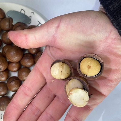 夏威夷果网红休闲零食大颗粒干果年货夏威夷果散装食品批发图3