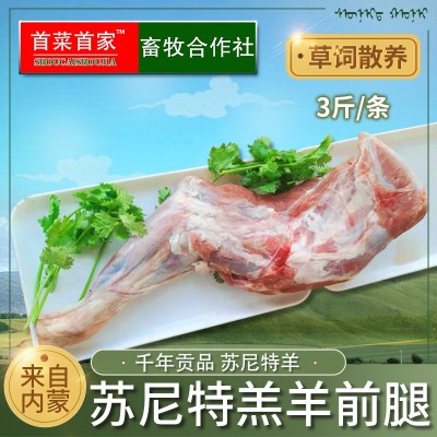 首菜首家内蒙苏尼特羔羊前腿1斤/件冷冻羊前腿烧烤羊原料