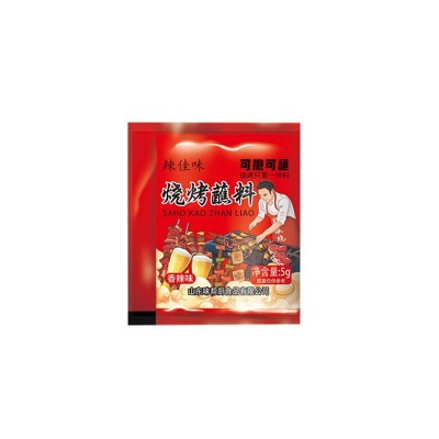 烧烤撒料烤肉烧烤料孜然烧烤粉摆摊蘸料炸串烧烤调料家用烧烤蘸料图4