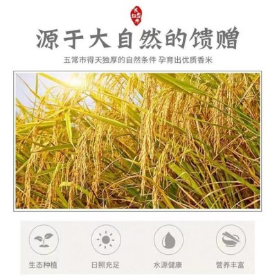葵花阳光五常大米长粒香5kg厂家批发图3