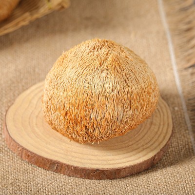 【集采】猴头菇干货200g蘑菇煲汤猴头菌茹补胃食材包邮图4