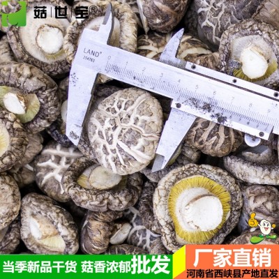 河南冬花菇大小均匀西峡香菇干货香味浓郁新货剪脚5件/5市斤起批图2