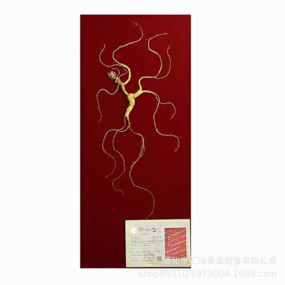 长白山野山参国检证书东北人叁移林下参人参礼盒泡酒送礼批发代理图5