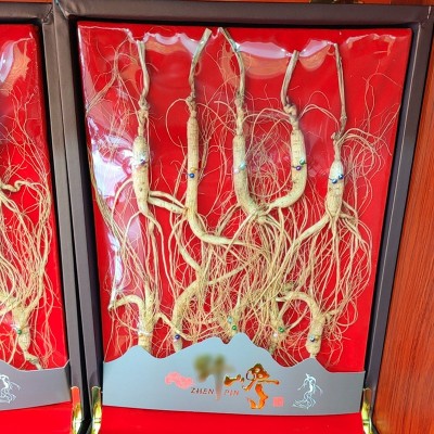 人参礼盒 野山参整枝10年长白山籽参 老龄生晒参林下 林下参礼盒图2