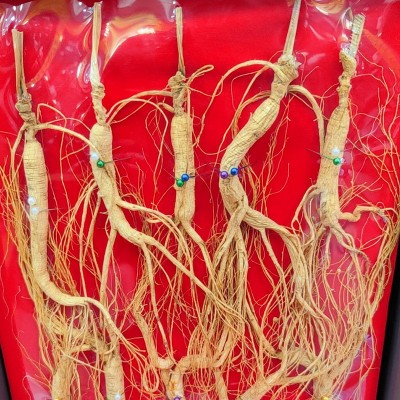 人参礼盒 野山参整枝10年长白山籽参 老龄生晒参林下 林下参礼盒图3