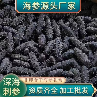 工厂批发深海辽刺参 滋补淡干A级大连干货非即食礼盒海参