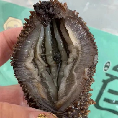 厂家直供9A级即食海参 500g散装8-10头大连辽参刺参水产批发代发图3