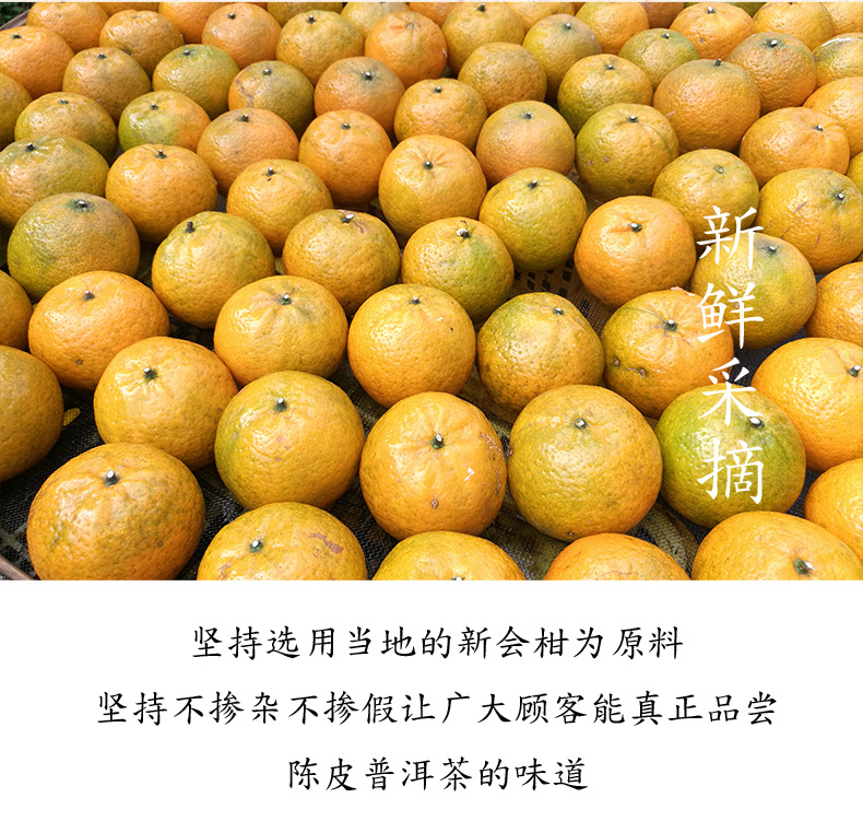 大红柑_04.jpg