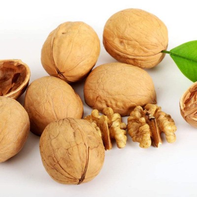 批发核桃新疆185纸皮核桃500克袋装薄皮原味干果孕妇食品 一件代发图4