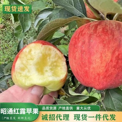 【产地直发】当季现货云南昭通冰糖心丑苹果新鲜水果整箱丑苹果图3