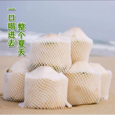 海南椰子新鲜椰青当季水果孕妇带皮青皮奶香9个装一整箱批发免邮图5
