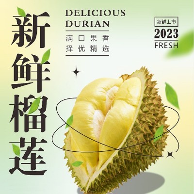 泰国干尧榴莲肉1kg冷冻榴莲肉A级新鲜榴莲果肉3公斤商用冰冻榴莲图2