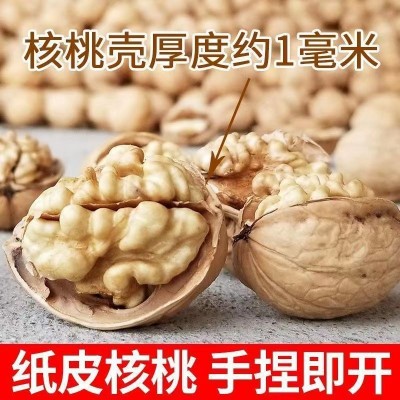 新疆185纸皮核桃批发500g 阿克苏特产核桃新货大颗手剥薄皮生核桃图4