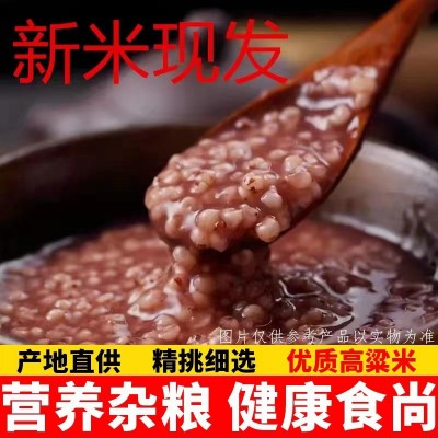 红糯高粱米食用500g真空东北五谷杂粮粗粮新米散装批发去壳高粱米图2