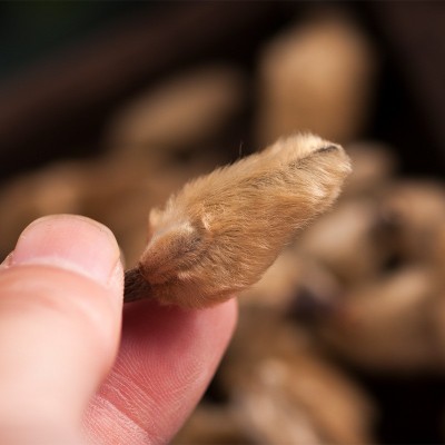 辛夷花熏辛夷花木笔花迎春花香辛料餐饮食品加工调味品散装卤料图4