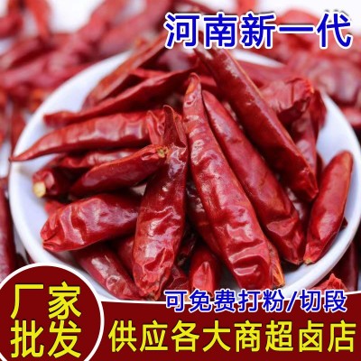 河南新一代天鹰椒干辣椒三樱椒炒菜红油专用微辣特香辣椒干朝天椒