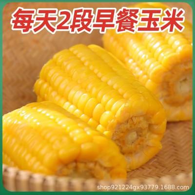 即食水果玉米段真空包装免煮甜小玉米学生宿舍零食早餐代餐家用图2