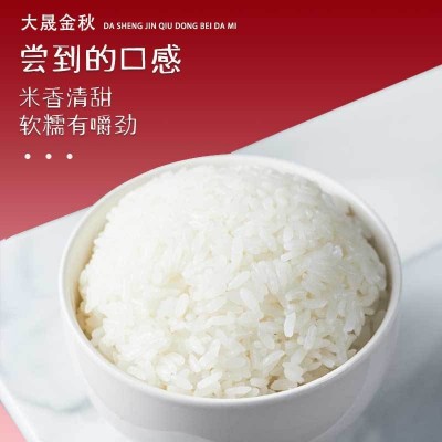 东北长粒香庆安大米新米一季稻粳米米5kg农产品厂家直销代发批发图3