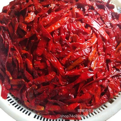 厂家批发 盐渍辣椒 腌制辣椒 腌渍辣椒 泡红椒 腌辣椒图5