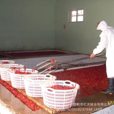 厂家批发 盐渍辣椒 腌制辣椒 腌渍辣椒 泡红椒 腌辣椒图3