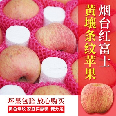 当季新鲜水果批发代发山东烟台栖霞红富士苹果5/10斤黄心条纹大果
