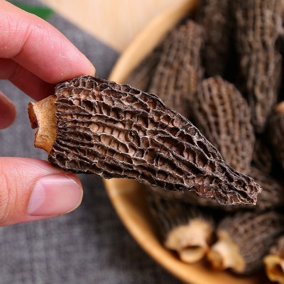 羊肚菌干货工厂批发云南特产剪柄食用菌菇煲汤年货食材可批发代发图4