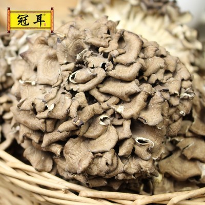 古田灰树花灰树菇干货批发千佛手菌舞茸 农家自产菌菇产地直批图3
