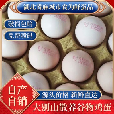 五谷散养虫草土鸡蛋产地批发免费喷码（1斤10个左）农家土鸡蛋