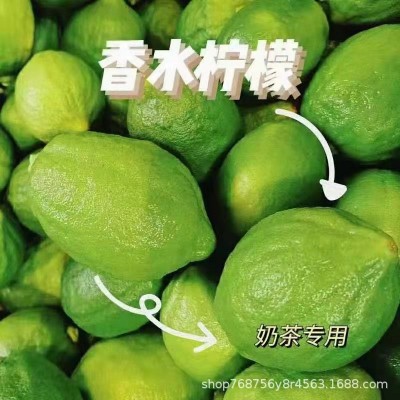 【发顺丰】广东香水柠檬大果 青柠檬 香水柠檬 无籽青柠 果园直发图3