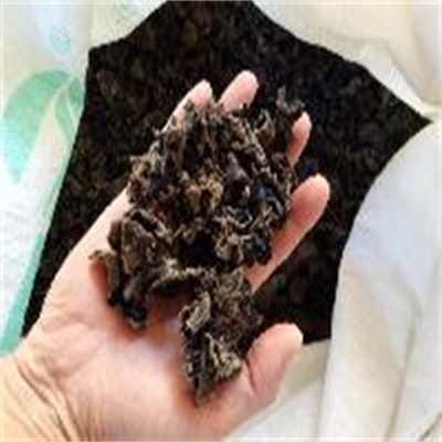 黑木耳一级图2