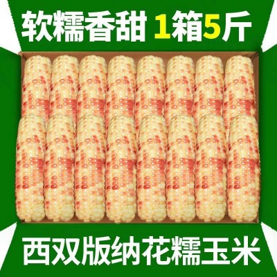 5斤云南西双版纳香糯小玉米真空包装花糯玉米学生上班代餐玉米棒